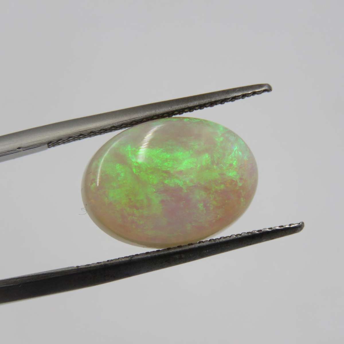 Predominantly Green Opal of 3,82 carats