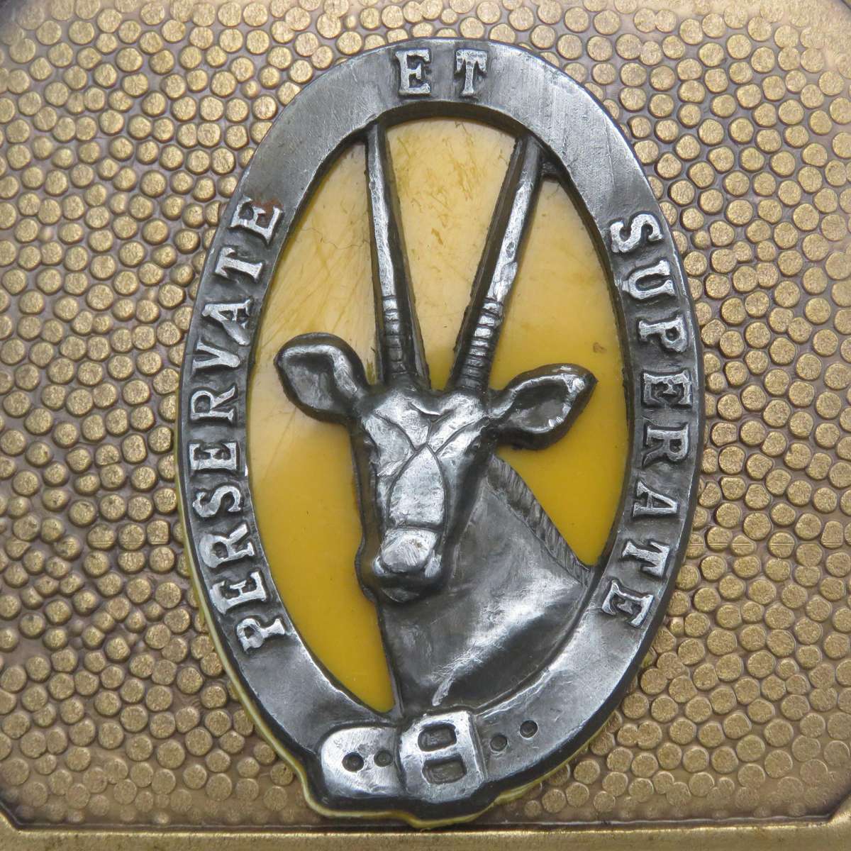 SADF 8 SAI stable - 98 cm length