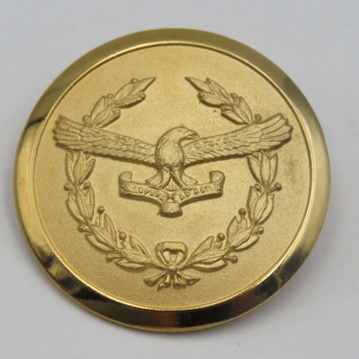 SA Air Force ladies organisation gold colour badge
