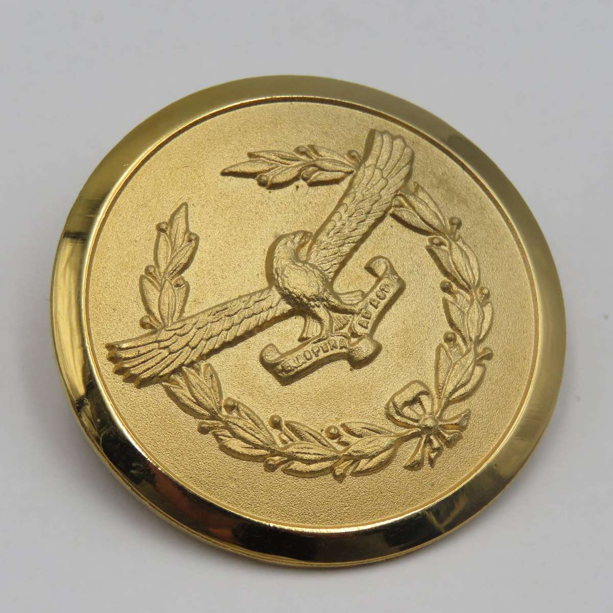 SA Air Force ladies organisation gold colour badge