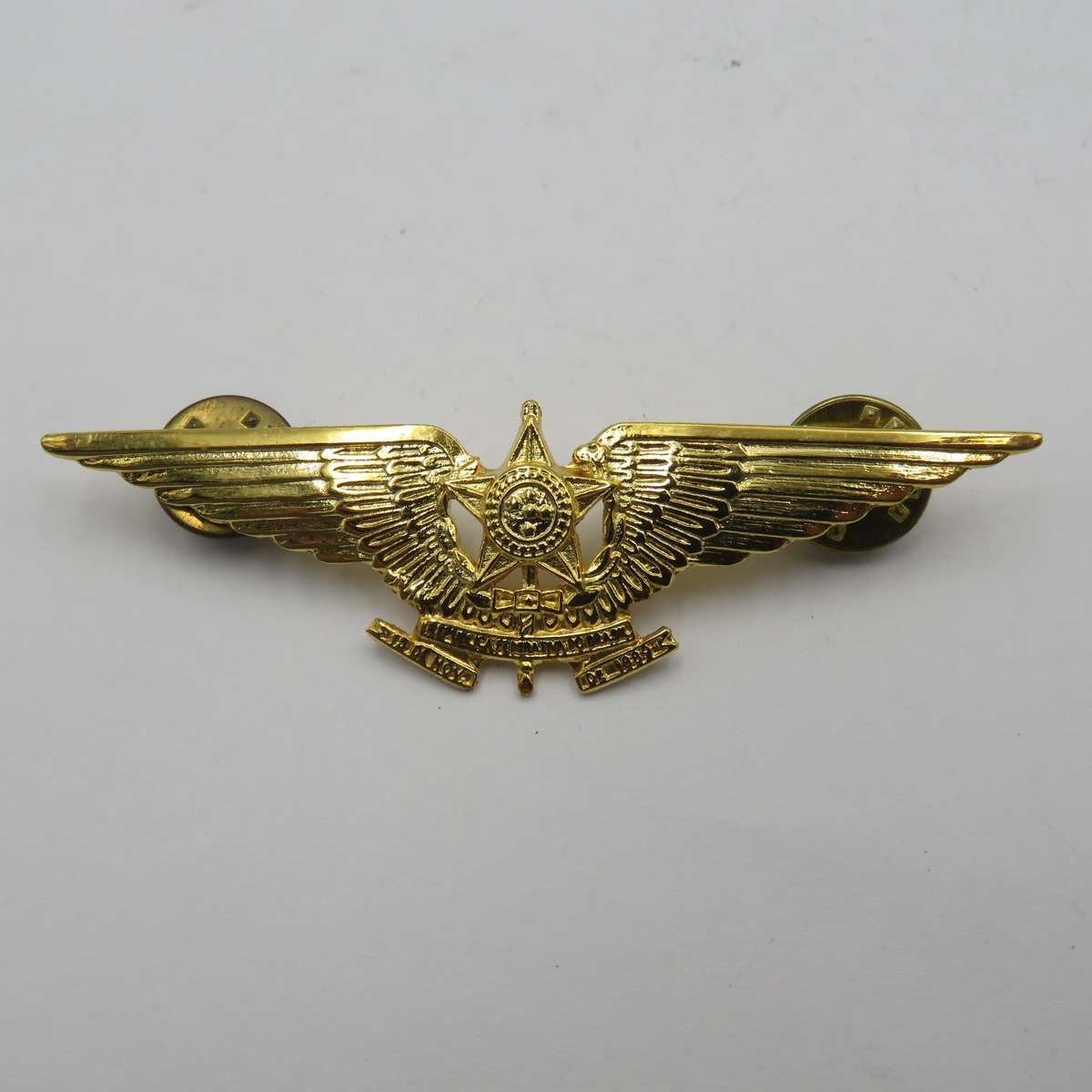 Pair of Brazilian Air Force Pilot wing badges - mess dress and full size