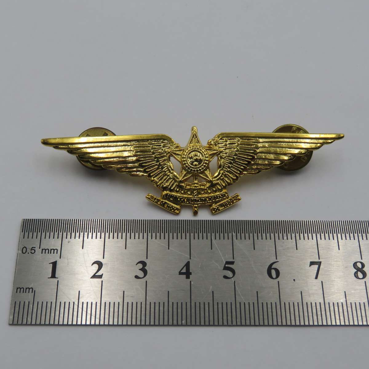 Pair of Brazilian Air Force Pilot wing badges - mess dress and full size