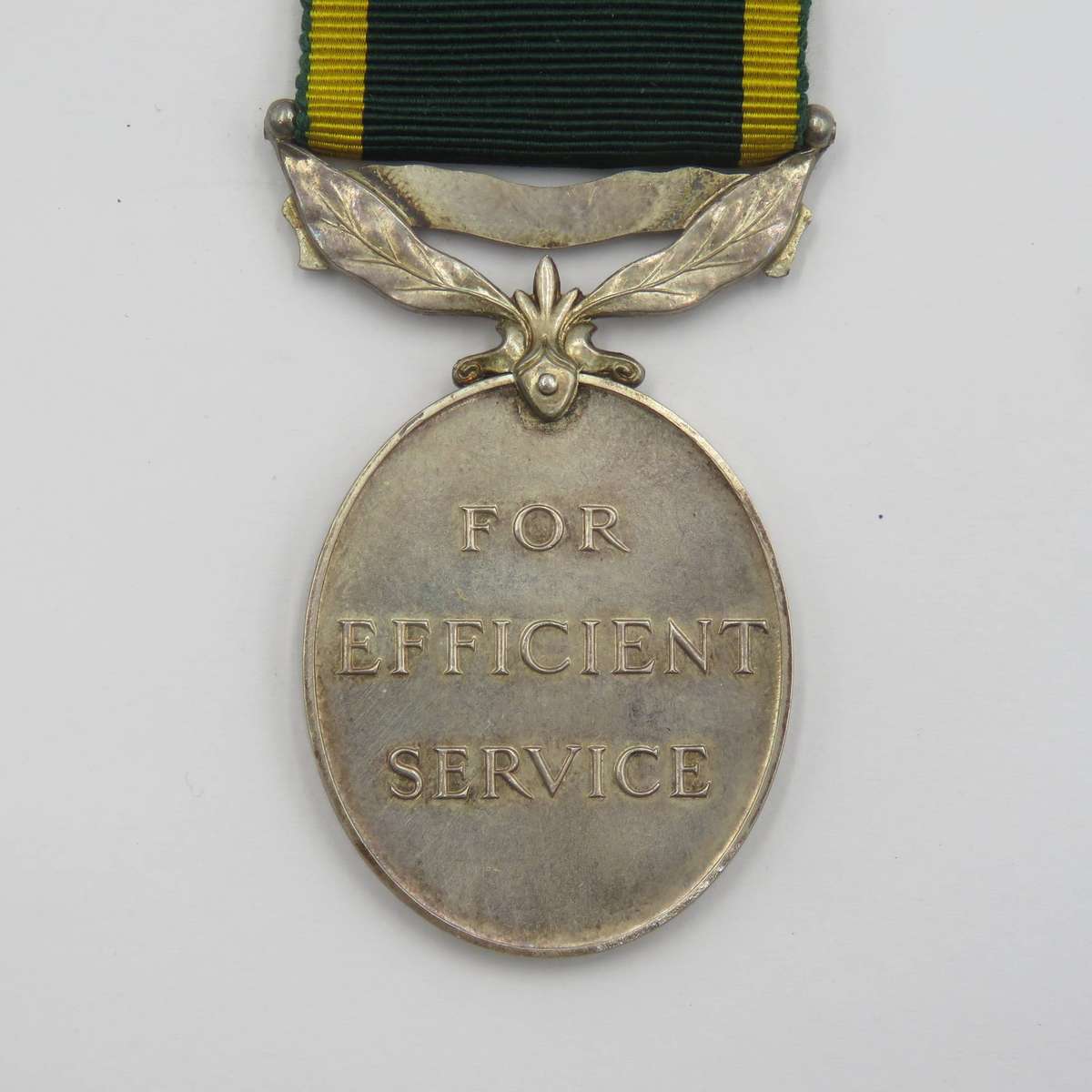 WW2 British Efficiency medal with Territorial clasp issued to 2032231 PTE S.L Wake R.A.O.C