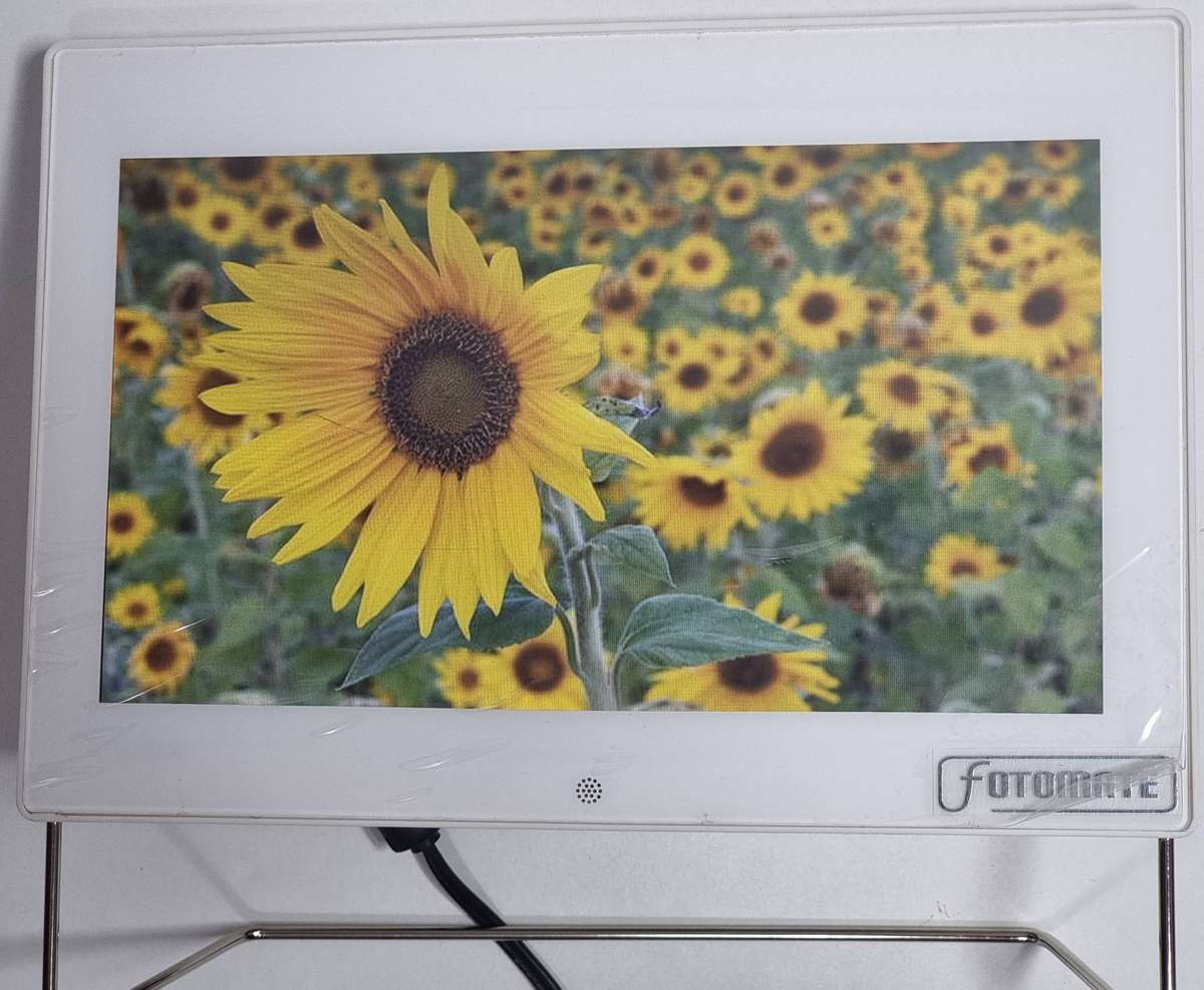 10" Digital Photo Frame - White