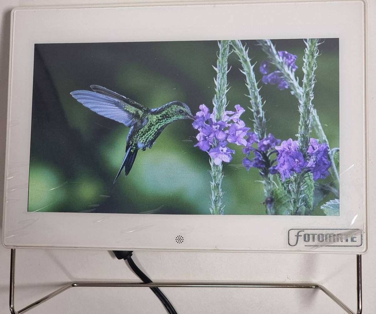 10" Digital Photo Frame - White