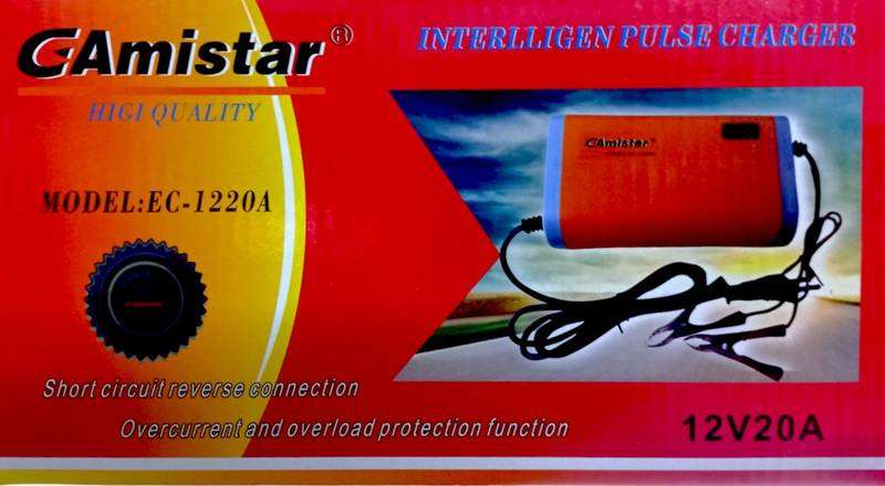 Intelligent 12 V Auto Battery Pulse Charger