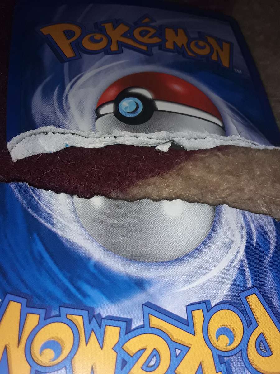 Huge pokemon Card collection