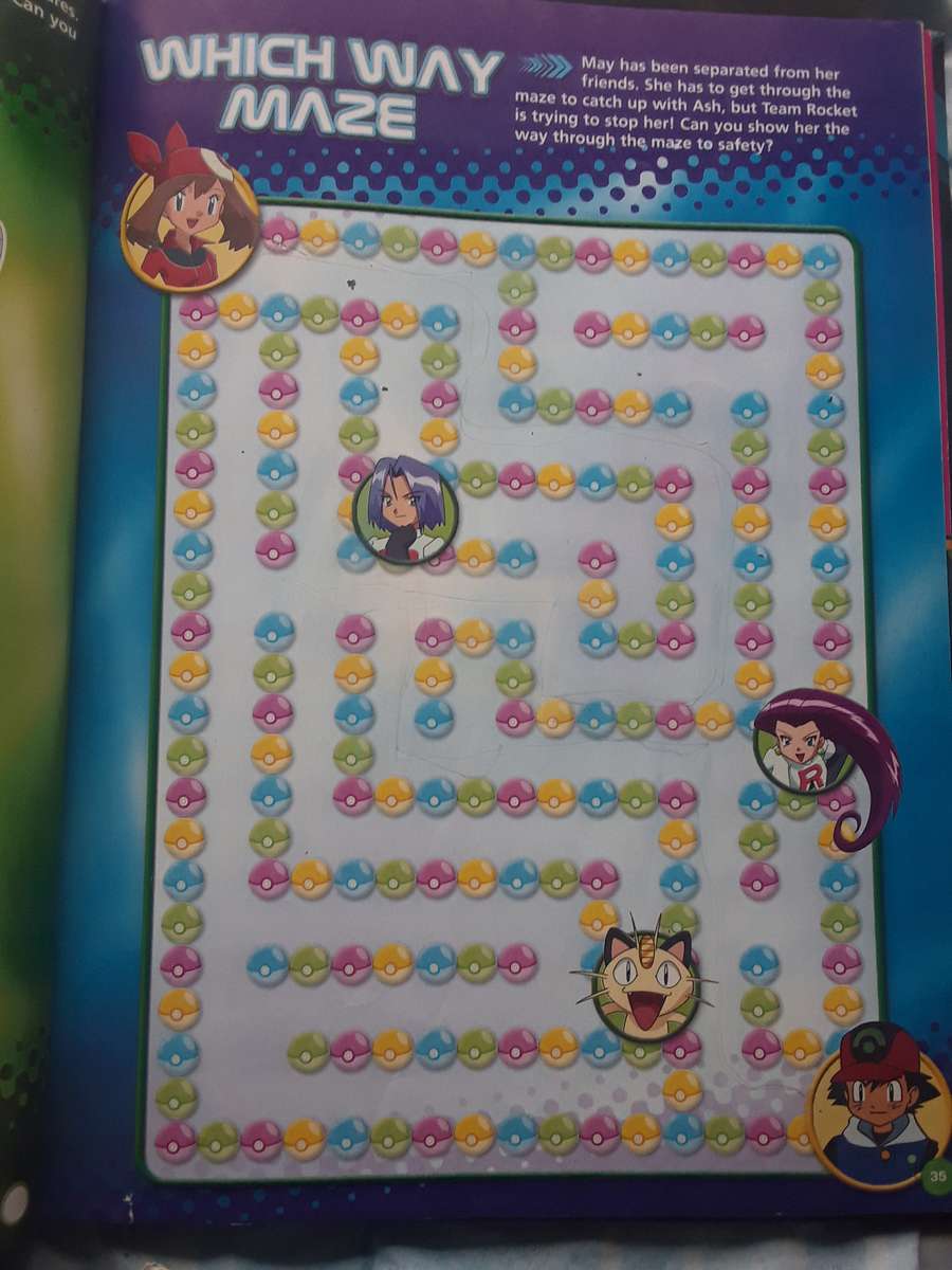 Pokemon Annual book 2008 Combo