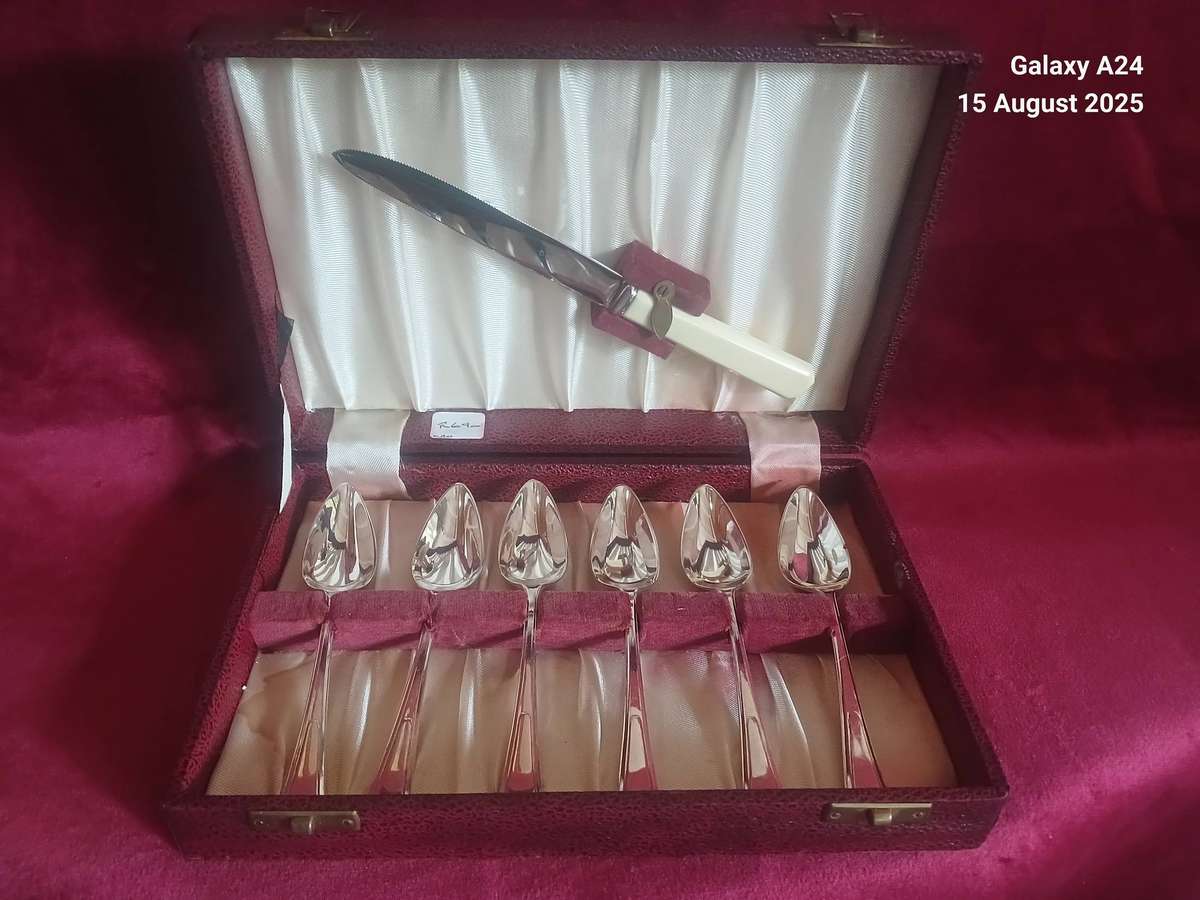 Boxed silver plated grapefruit set