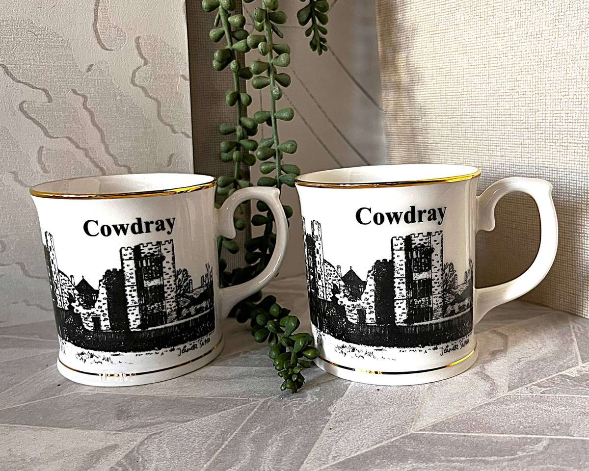 Pair of Vintage Janet Shaw "Cowdray Ruins" Fine Bone China Mugs