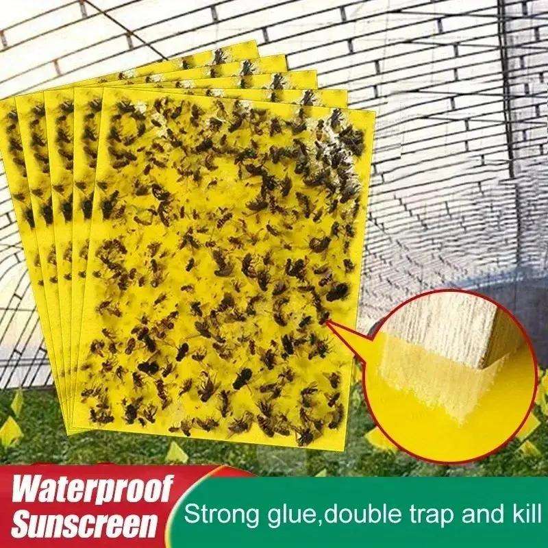 Strong Fruit Fly Traps Yellow Sticky Board Pack of 25pcs