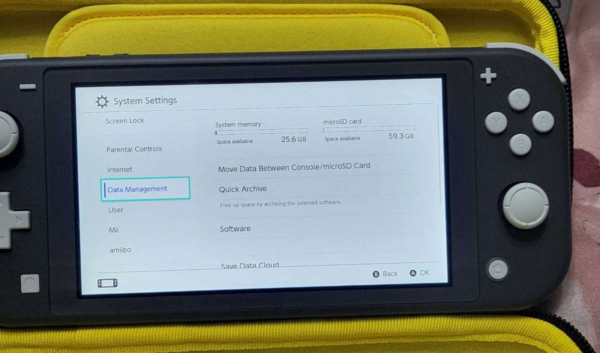 Nintendo Switch Lite