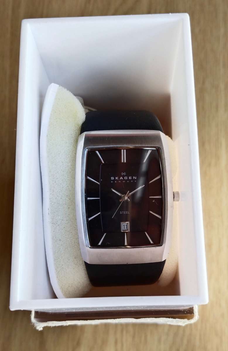 Skagen Denmark New Mens watch in box.