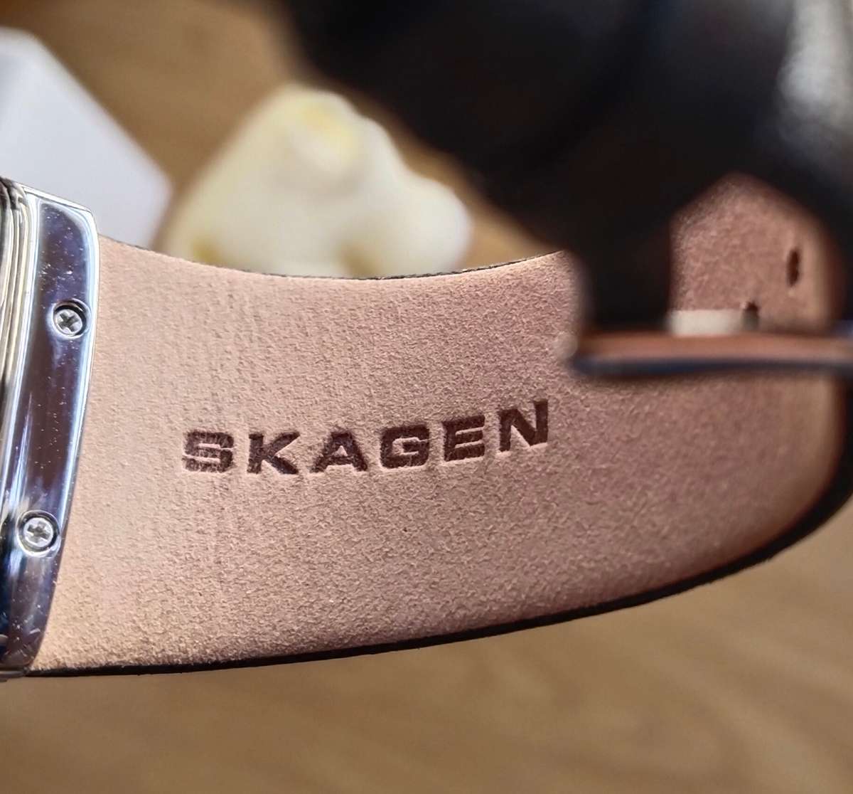 Skagen Denmark New Mens watch in box.