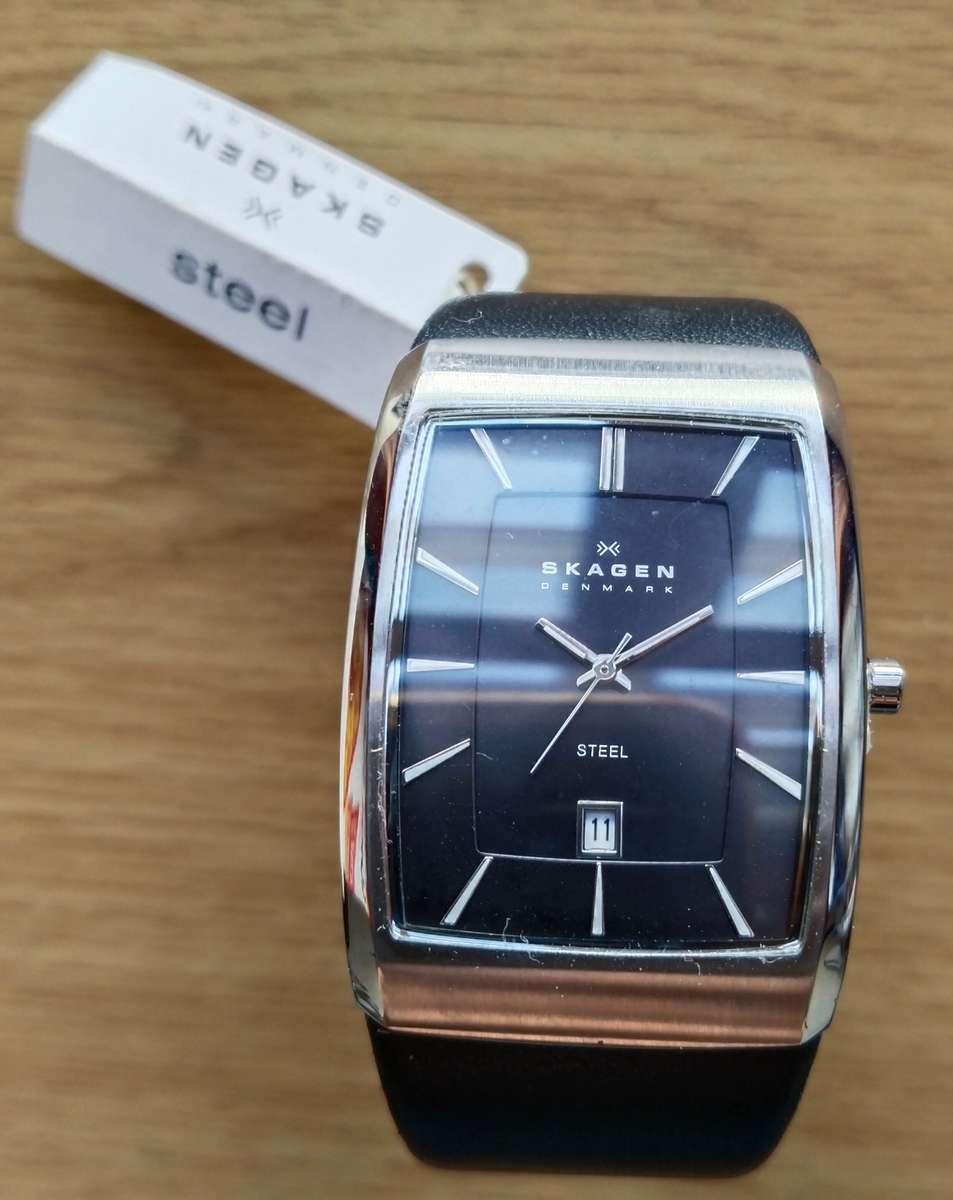 Skagen Denmark New Mens watch in box.