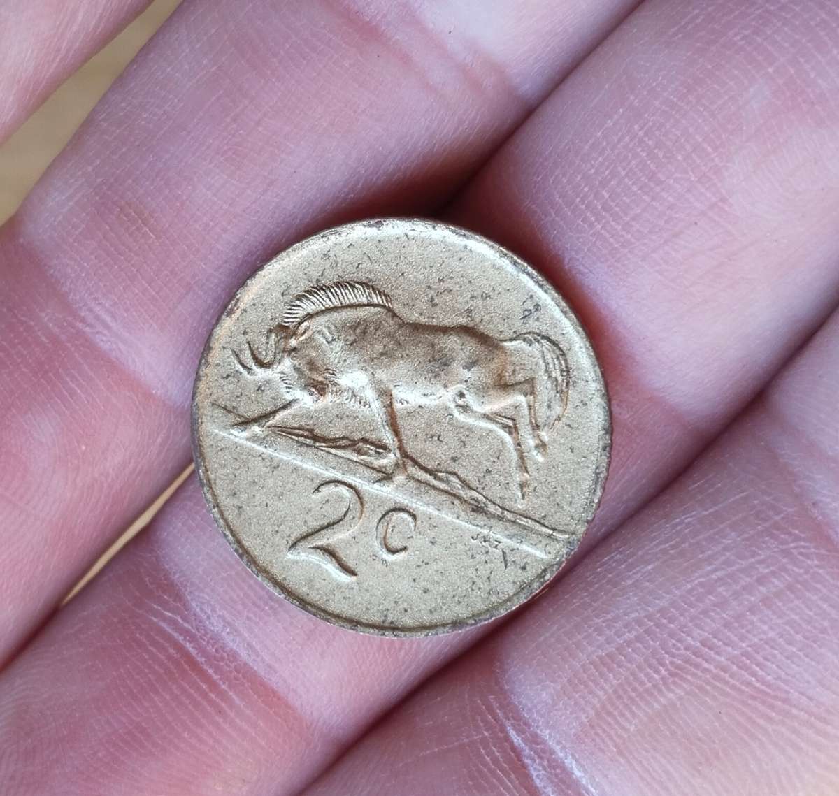 South Africa collection of 14 Gold coloured like 2 cents. One bid takes all.