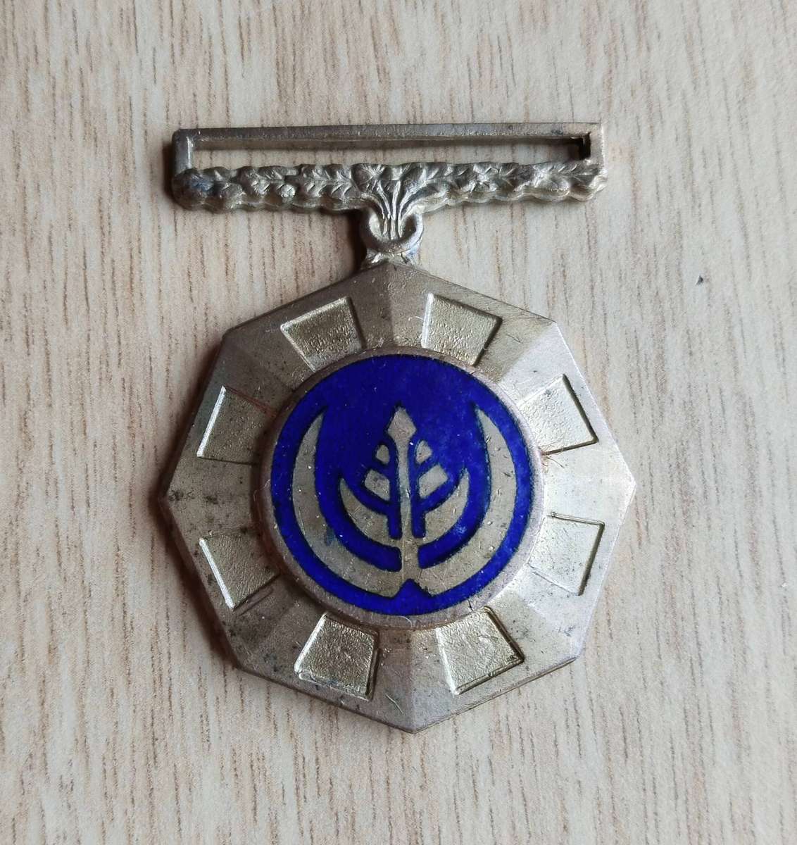 SANDF Pro Patria Medal Awarded to 172440