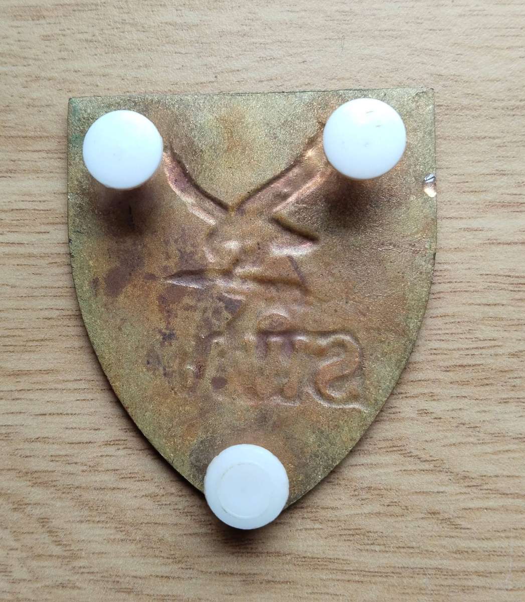 SAP South African SWAT Old Vintage Eagle and Rifle Arm Flash.