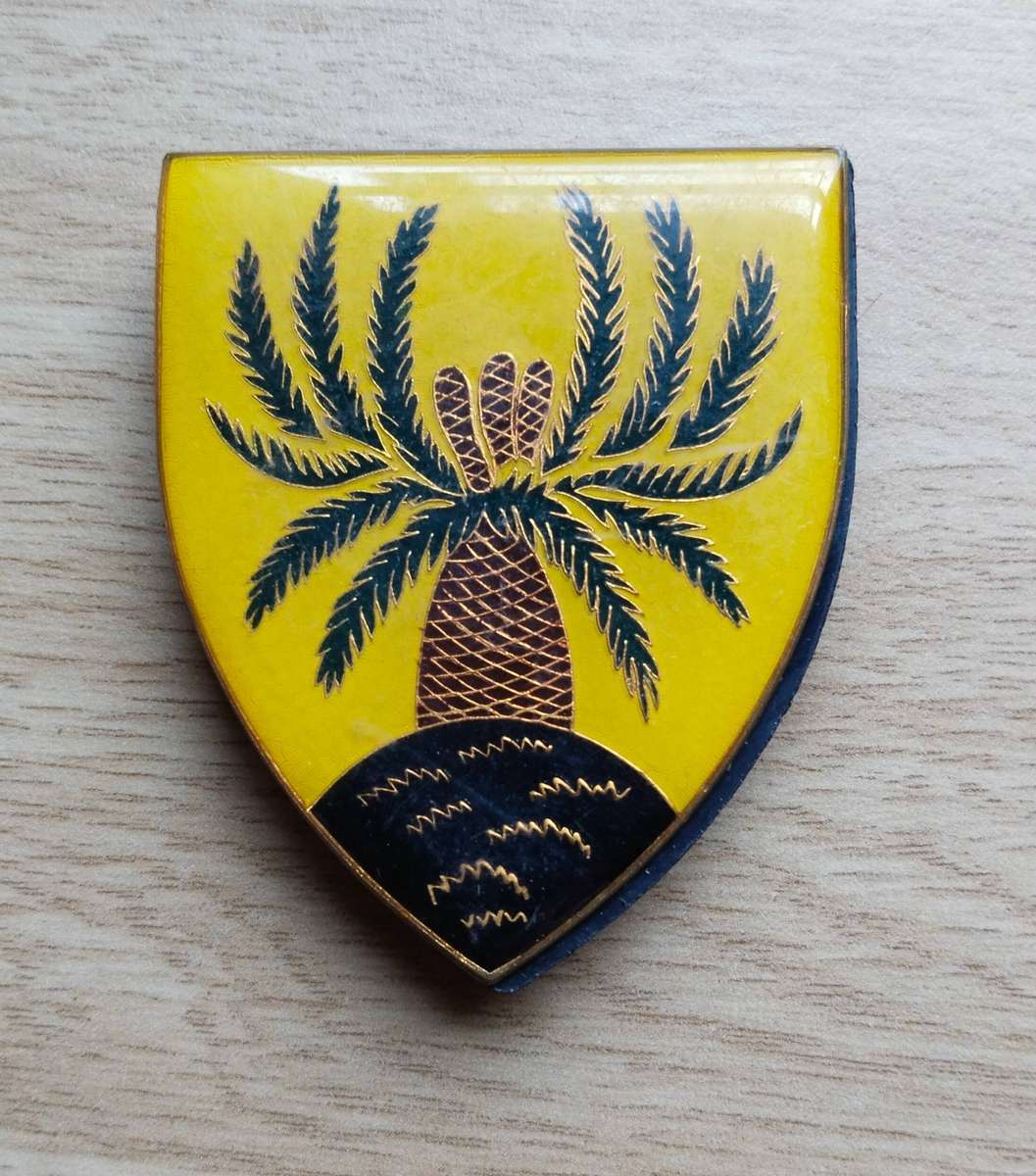 SADF 4 SAI Shoulder Flash.