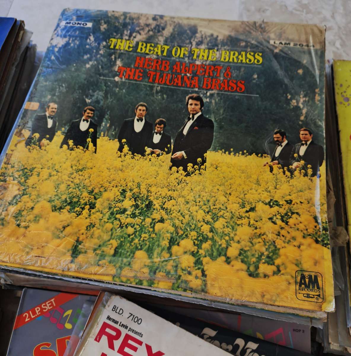 LIFETIME COLLECTION OF VINTAGE RECORDS! 200+ RECORDS