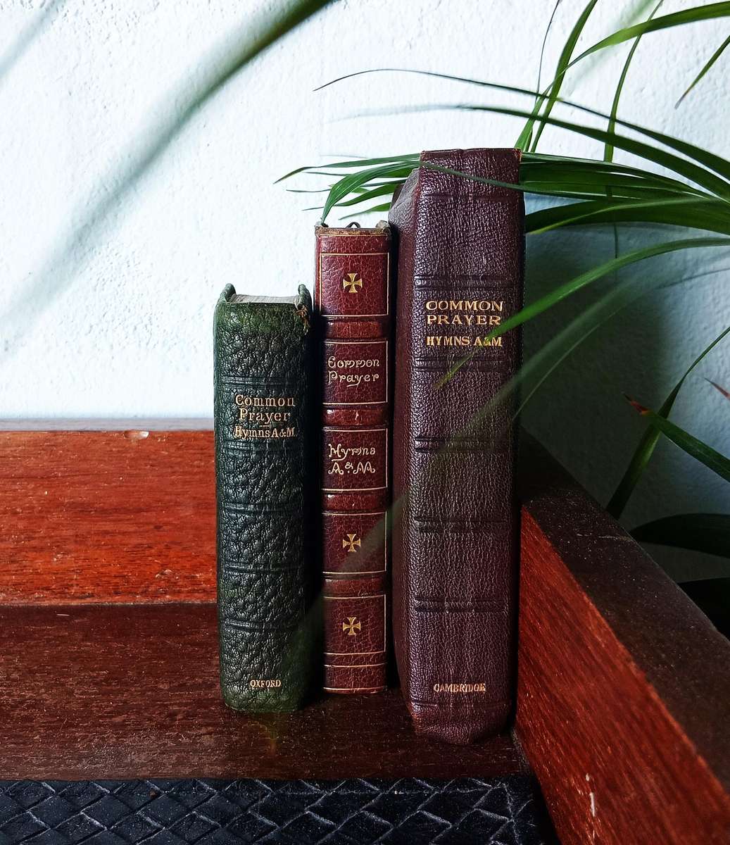 LOVELY VINTAGE SET OF 3 *COMMON PRAYER, HYMNS A&M BOOKS CIRCA 1928