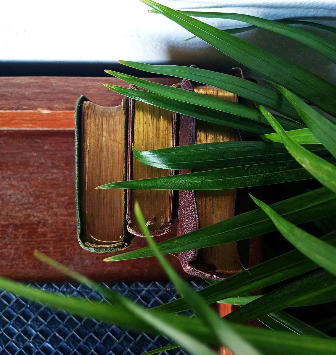 LOVELY VINTAGE SET OF 3 *COMMON PRAYER, HYMNS A&M BOOKS CIRCA 1928