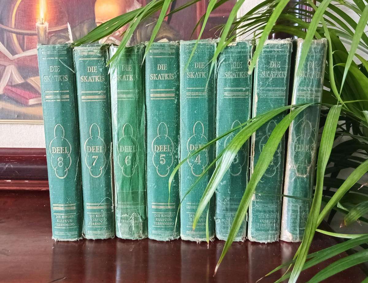 VINTAGE COLLECTION OF AFRIKAANS BOOKS ''DIE SKATKIS'' DEEL 1-8