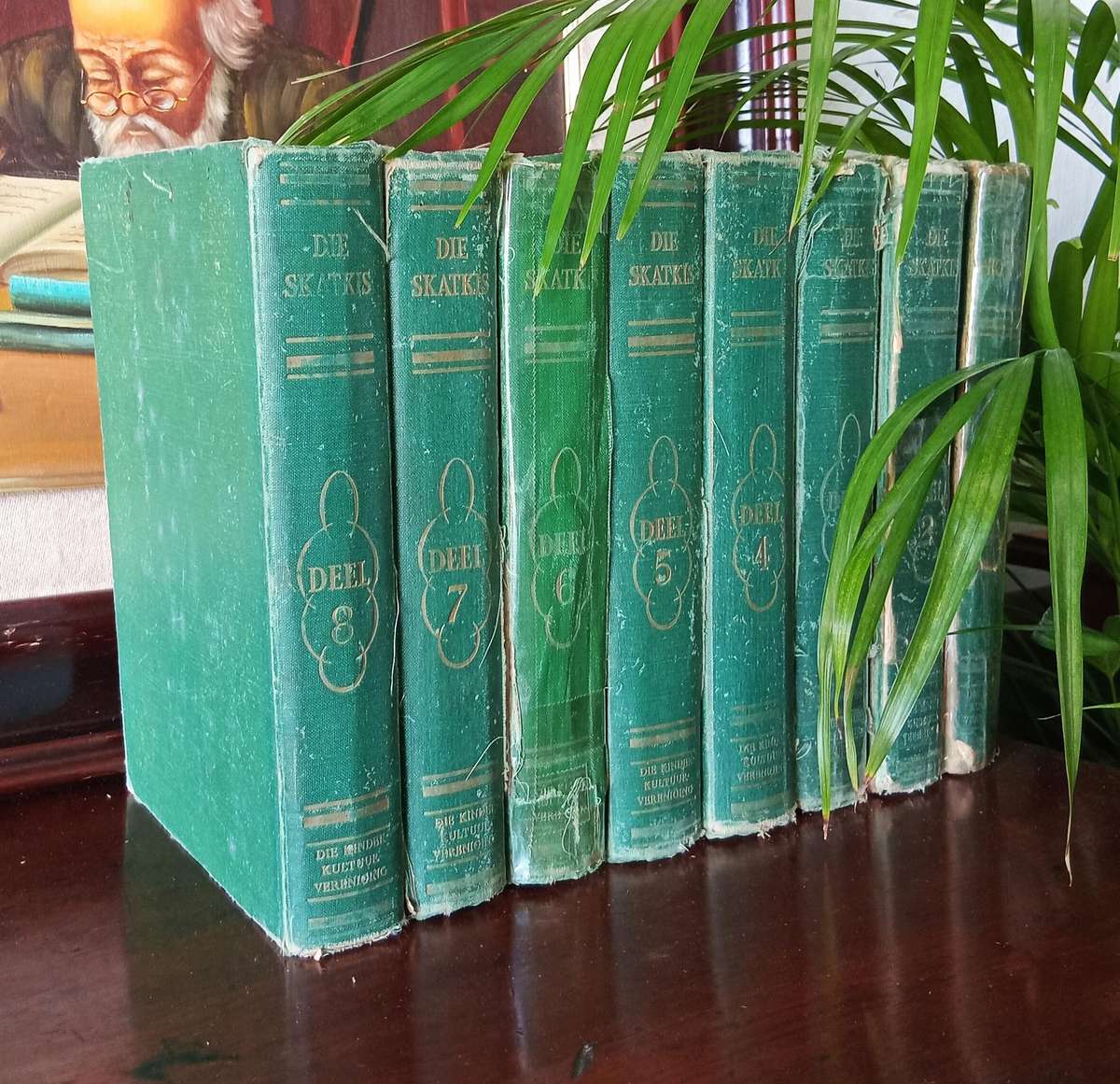 VINTAGE COLLECTION OF AFRIKAANS BOOKS ''DIE SKATKIS'' DEEL 1-8