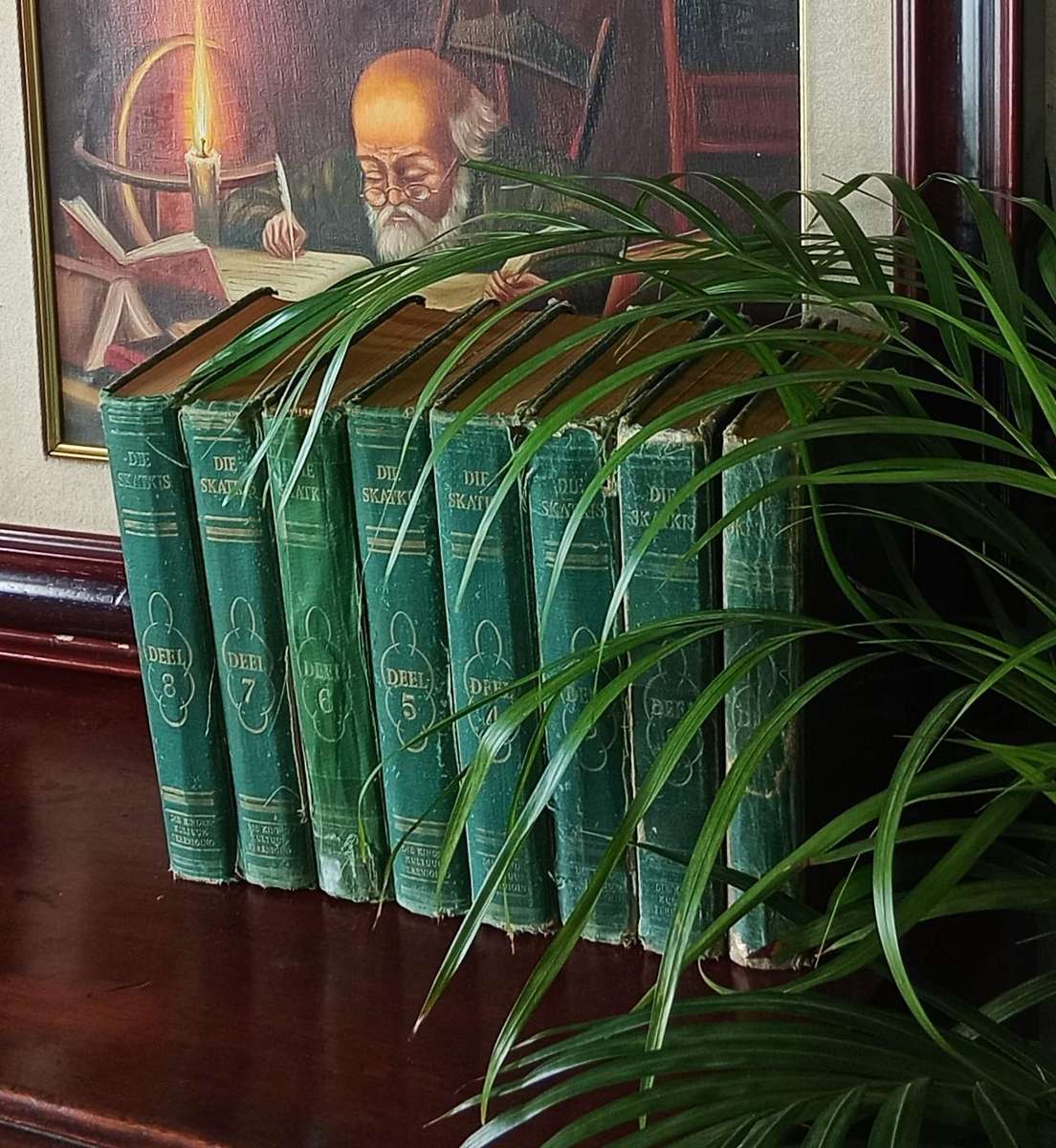 VINTAGE COLLECTION OF AFRIKAANS BOOKS ''DIE SKATKIS'' DEEL 1-8