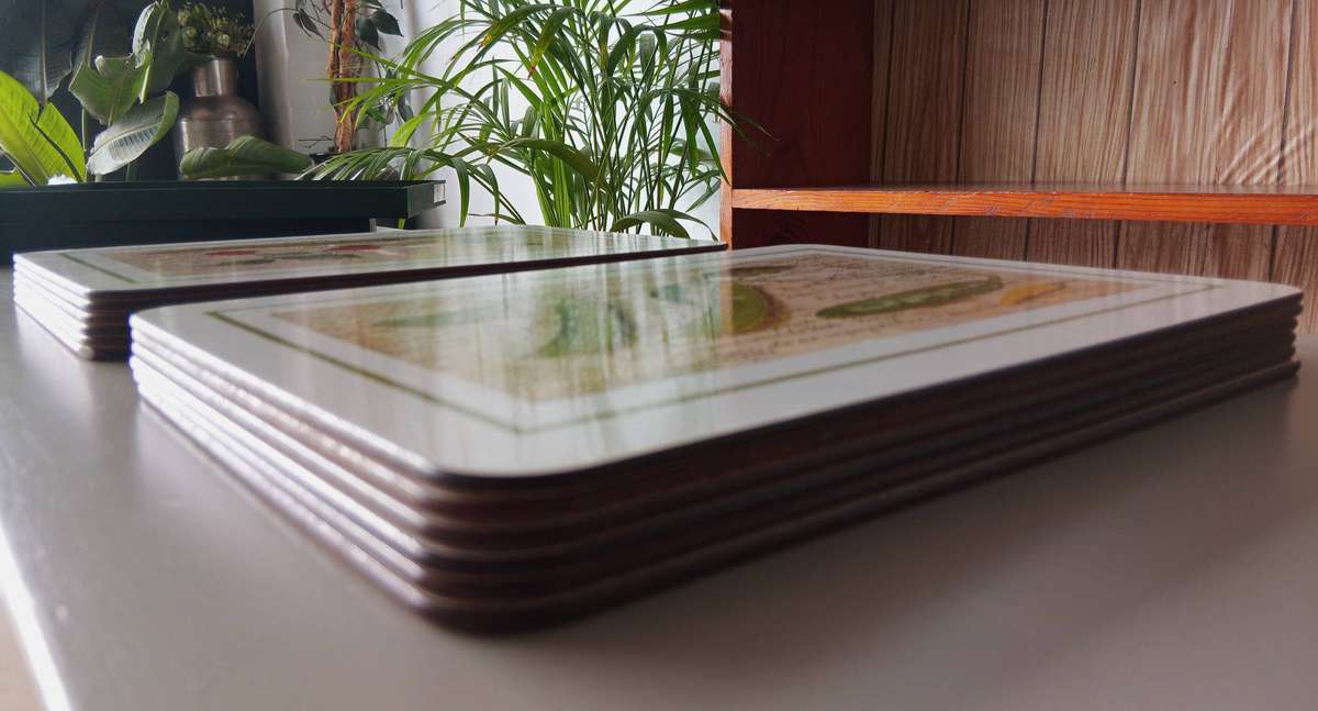 Jason Coasters Placemats Set of 2