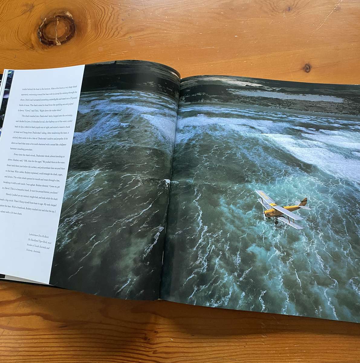 light In The Sea, Book