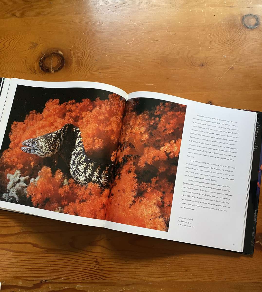 light In The Sea, Book