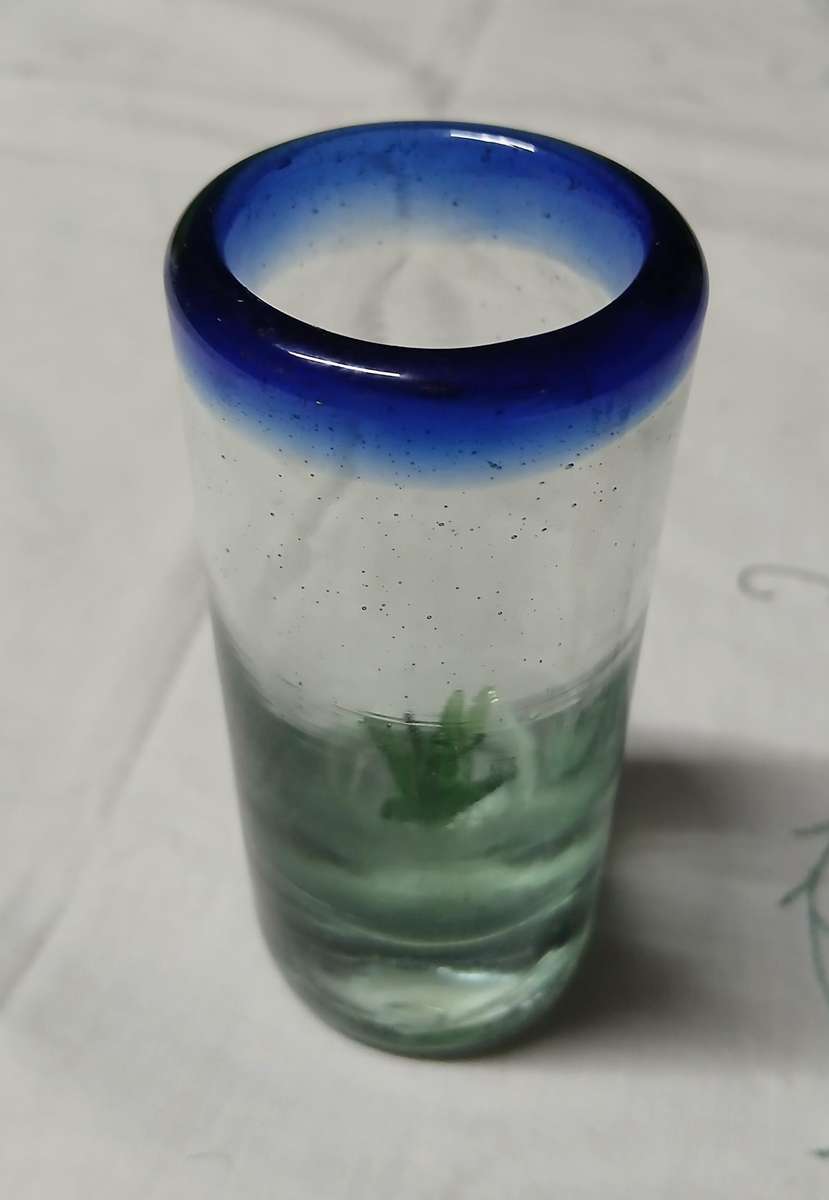 Handblown Mexican Agave Shot Glass - Recycled Glass Artistry