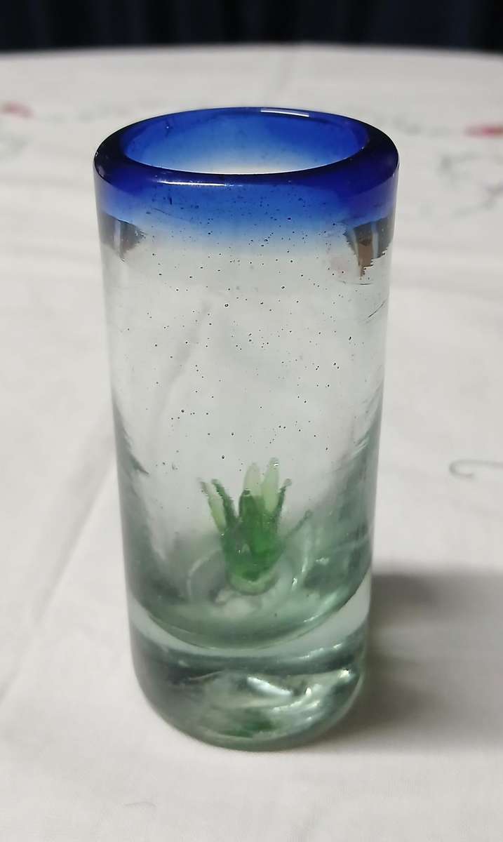 Handblown Mexican Agave Shot Glass - Recycled Glass Artistry