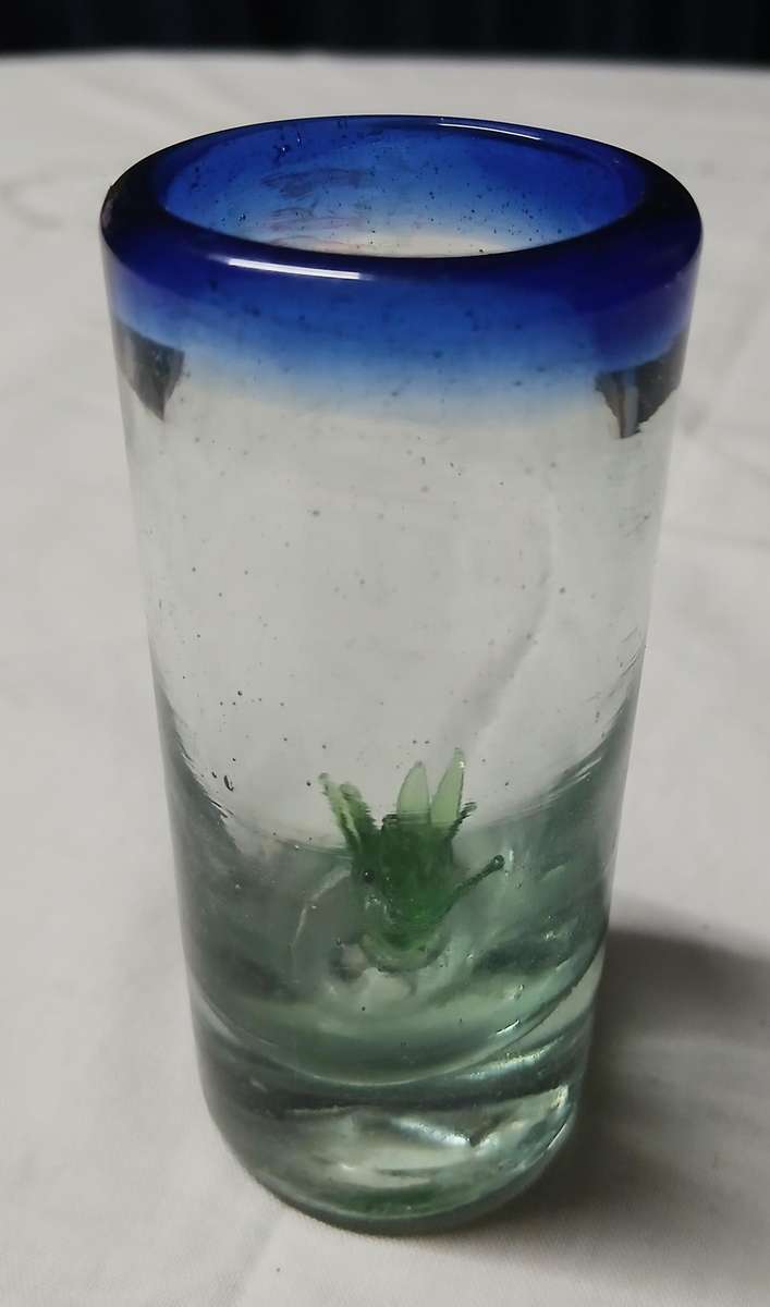 Handblown Mexican Agave Shot Glass - Recycled Glass Artistry