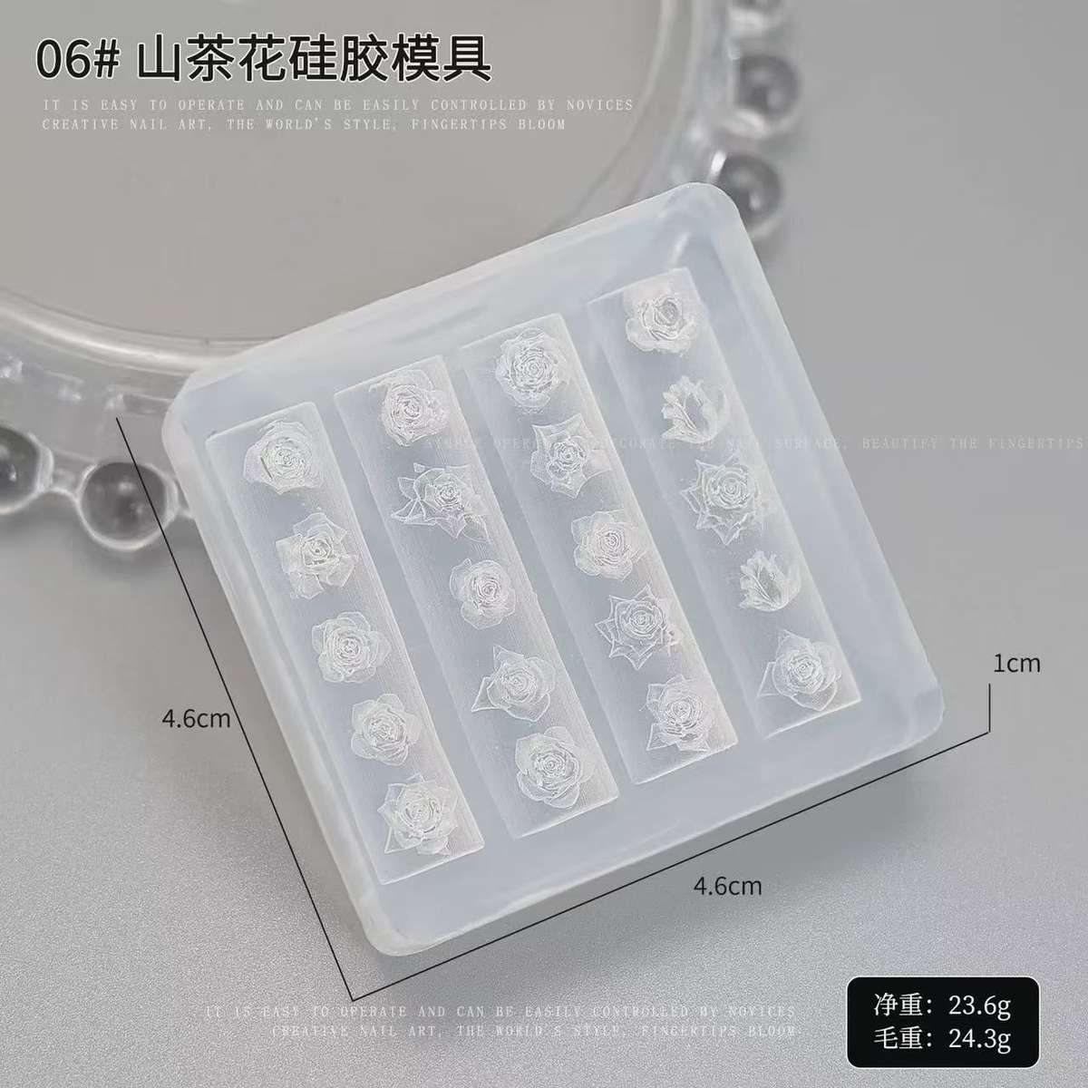 3D Acrylic Model - 6