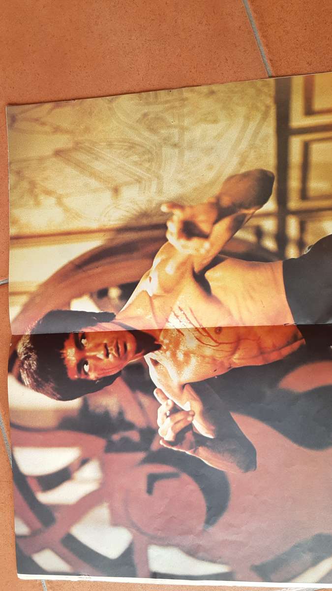 Vintage BRUCE LEE SCRAPBOOK (KUNG FU MONTHLY- SPECIAL ISSUE)