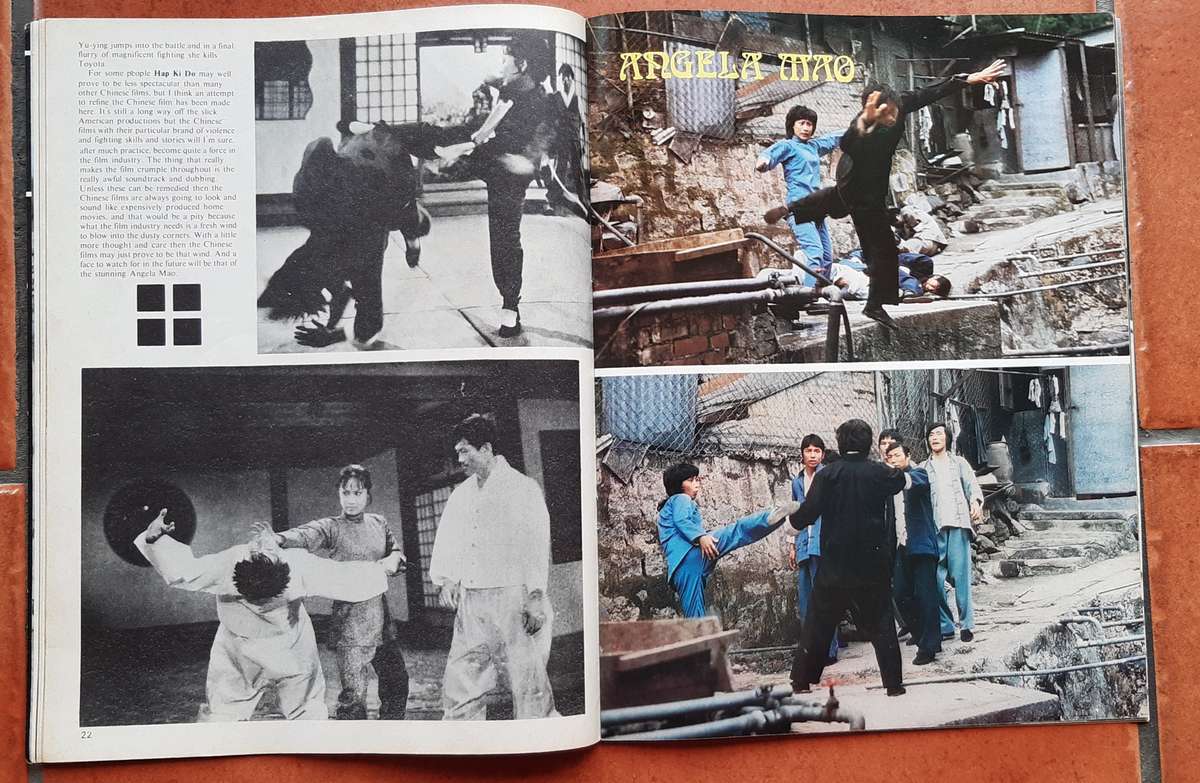 Vintage KUNG FU  [Special Issue of EXCITING CINEMA]