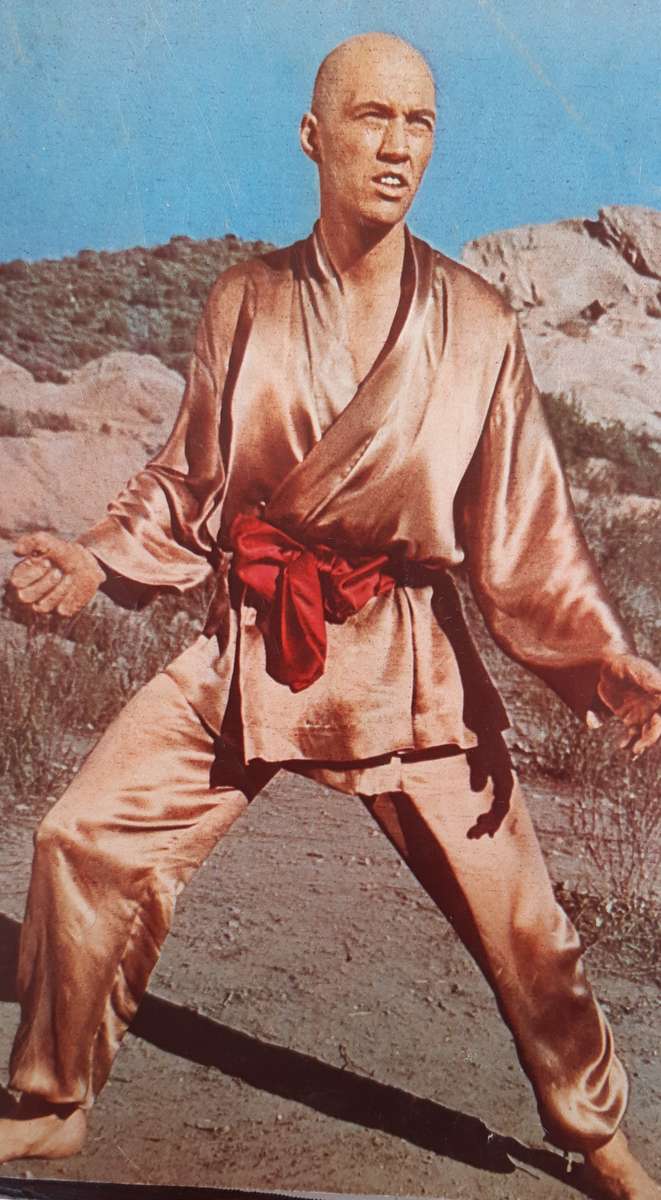 THE DEATH TOUCH  An Introduction to Future Martial Arts