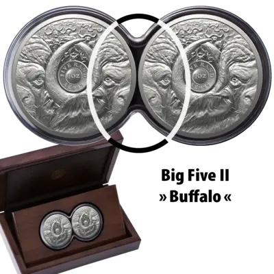 2 oz Silver Coin Set - Big Five II - Buffalo - Double Capsule - 2023