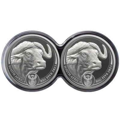 2 oz Silver Coin Set - Big Five II - Buffalo - Double Capsule - 2023