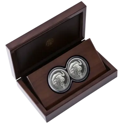 2 oz Silver Coin Set - Big Five II - Buffalo - Double Capsule - 2023