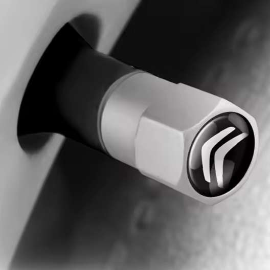 CITROEN Valve Caps - Silver with chrome Citroen logo (Set of 4)