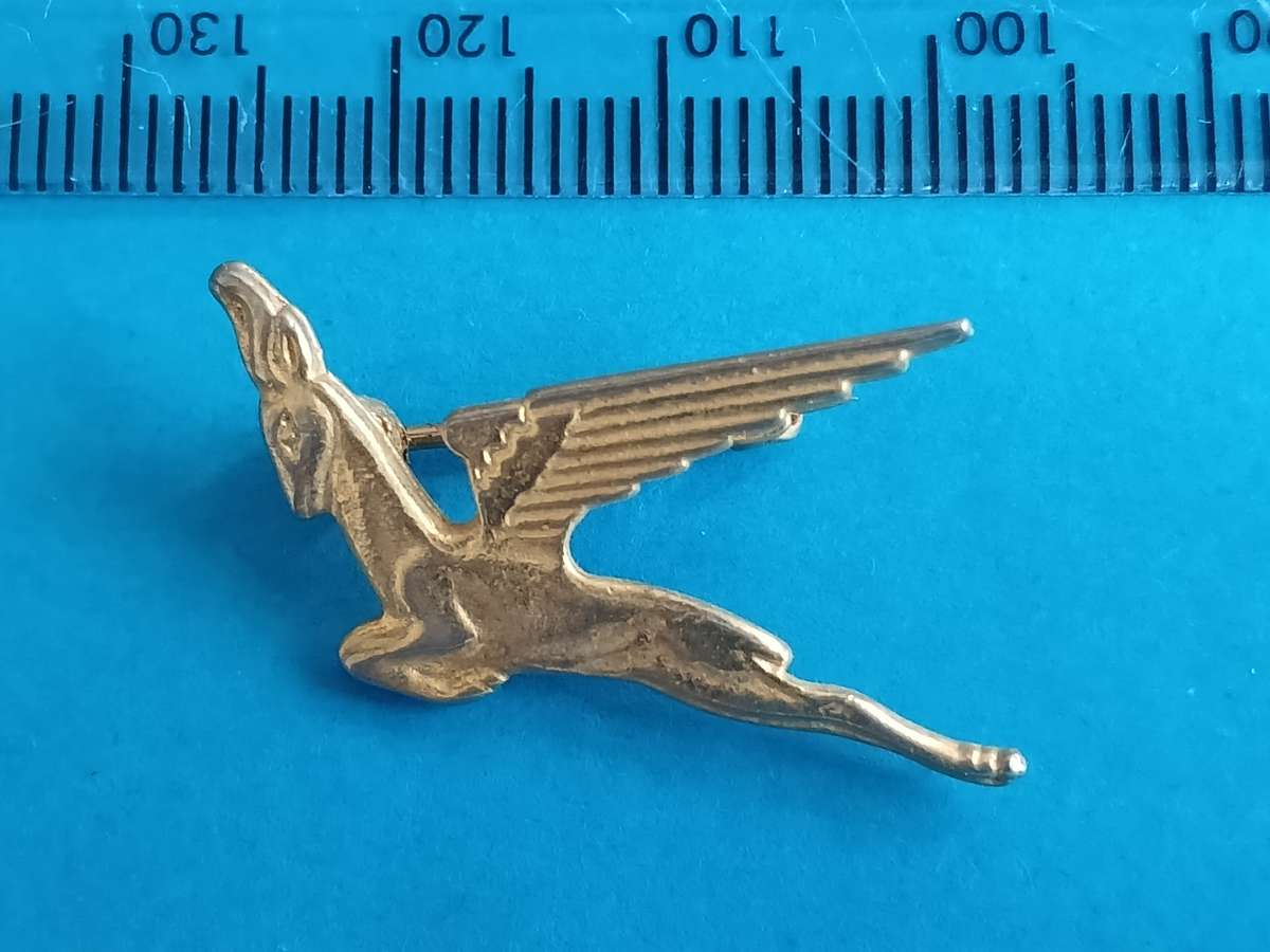 SA Airways Springbok Badge / Pin