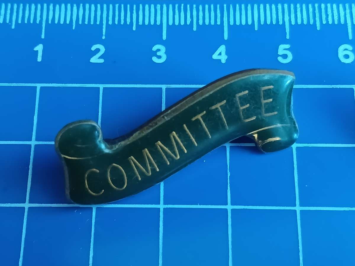 Sport Commitee Badge / Pin