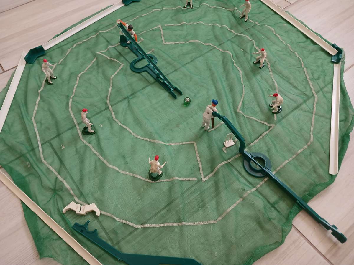 Cricket Playing Set