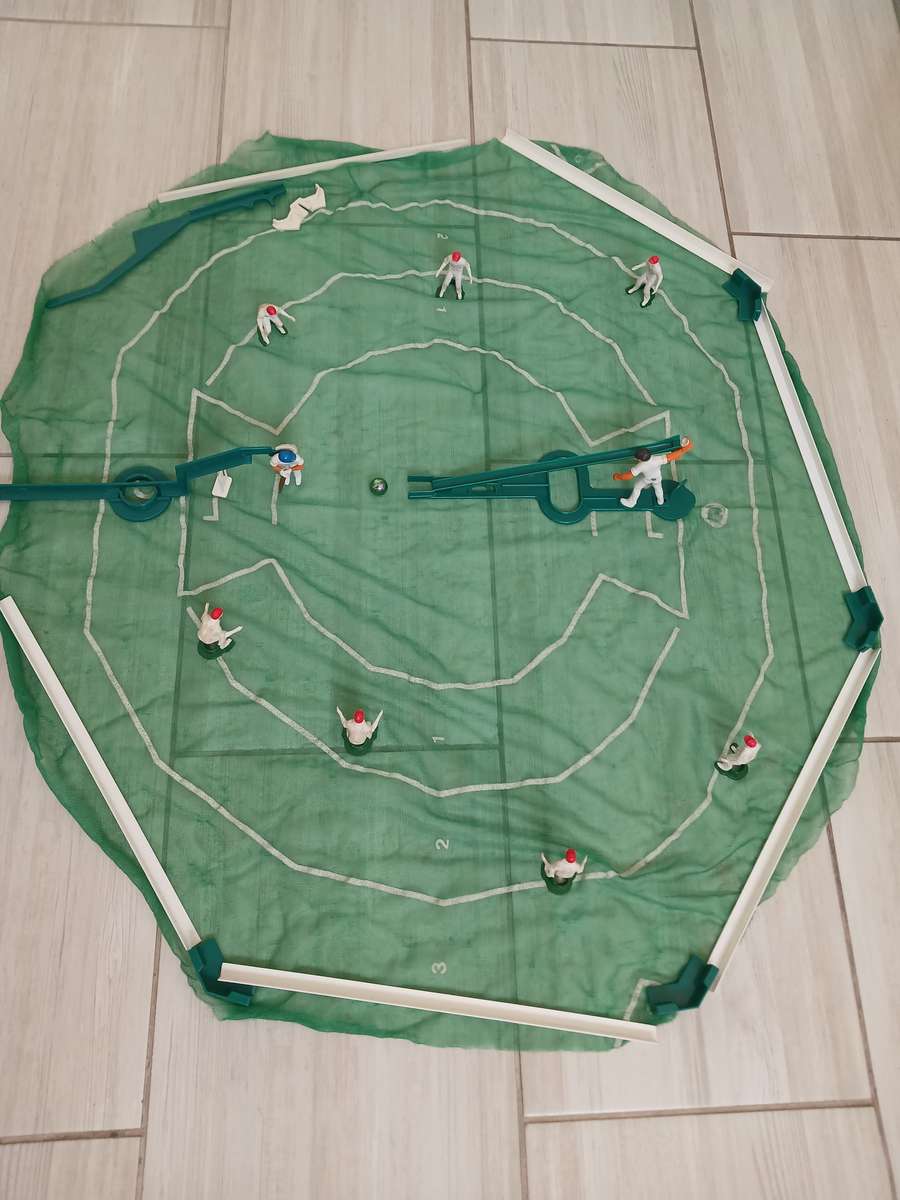 Cricket Playing Set