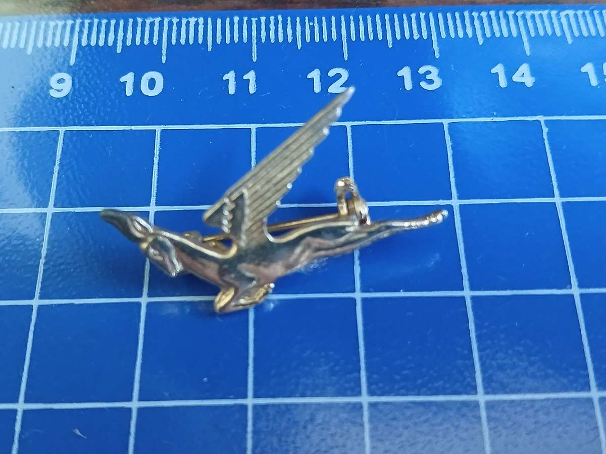 SA Airways Springbok Pin