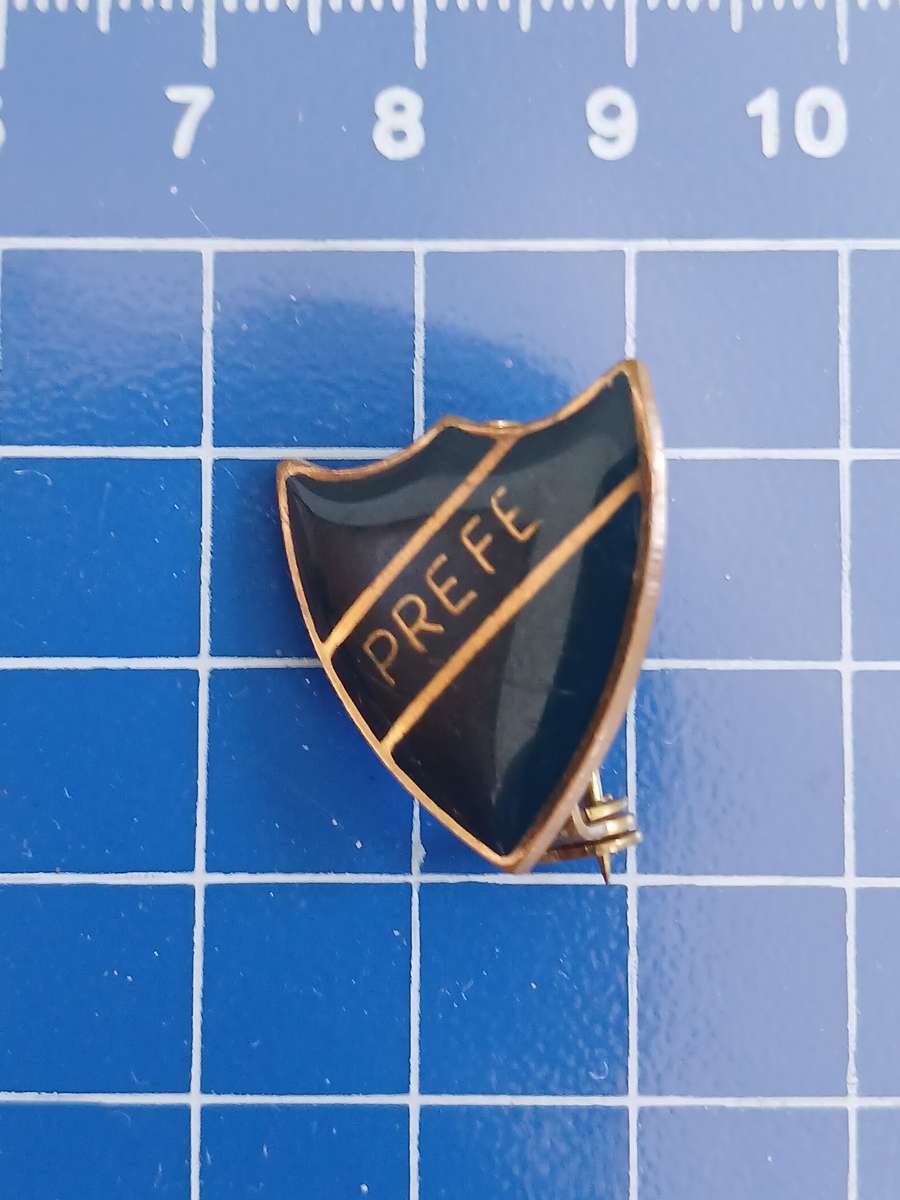 School Prefek - Pin
