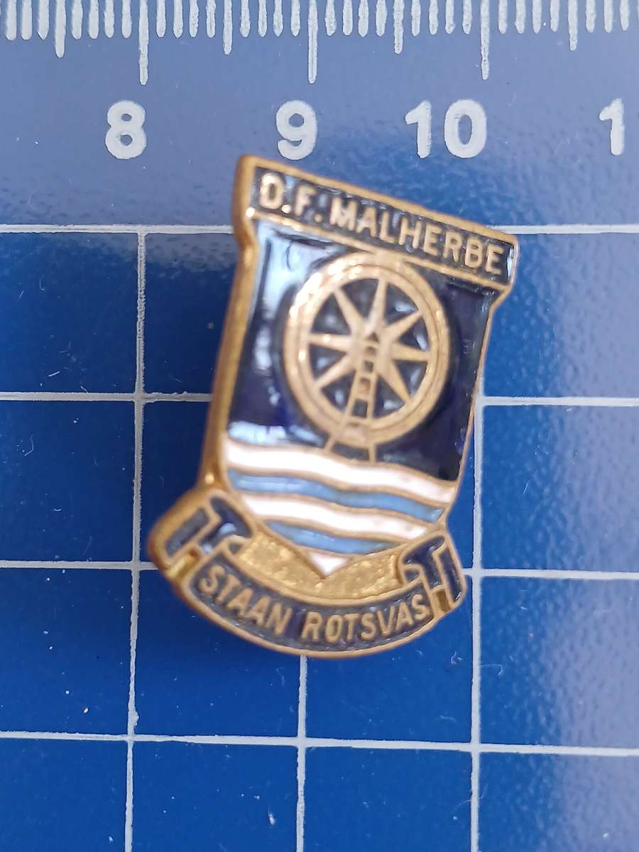 DF Malerbe School - Pin